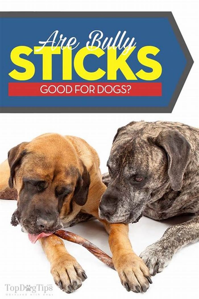 Are bully sticks good for dogs?