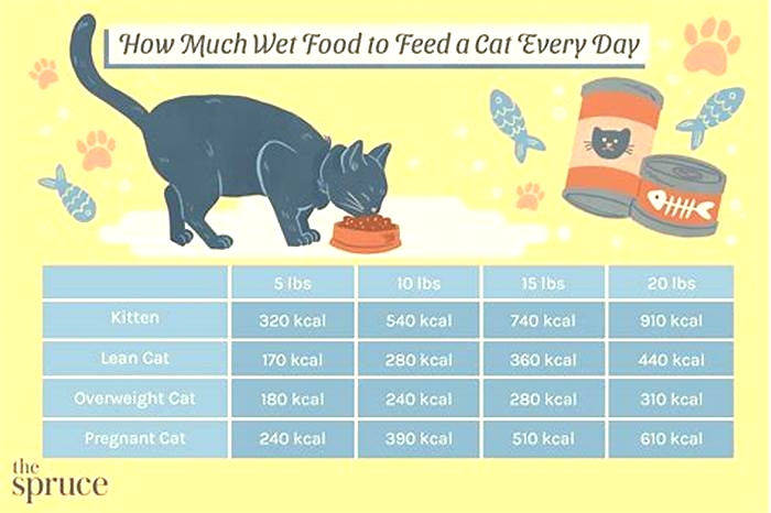 Can I overfeed my cat wet food?