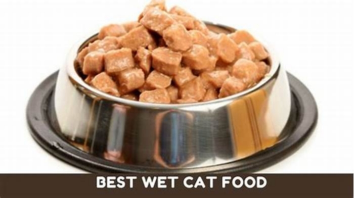 Can cats be healthy on wet food only