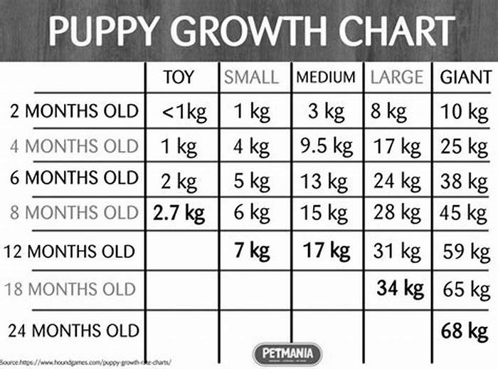 Can large breed puppies grow too fast?