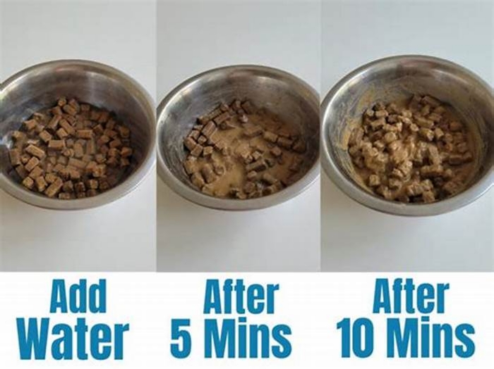 Can you add water to Iams dog food?