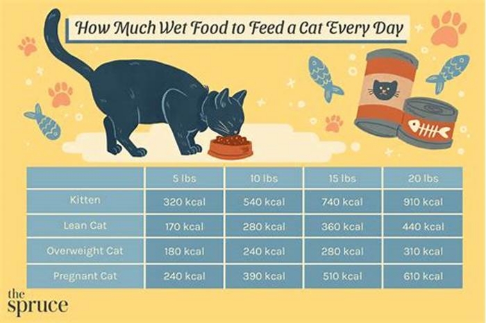 Can you feed a cat too much wet food?