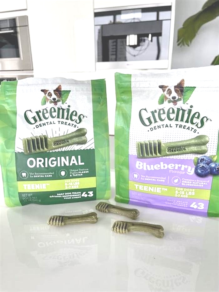 Do Greenies cause blockage in dogs