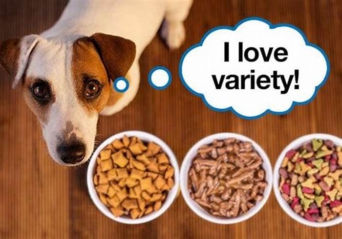 Do dogs live longer without kibble