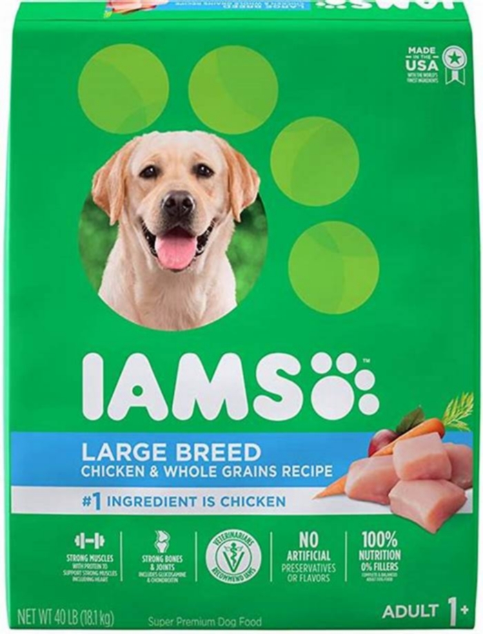 Do labs need large breed dog food