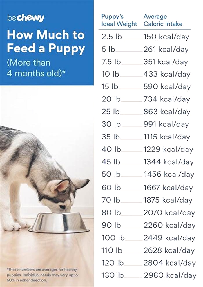 Do puppies need milk after 4 weeks?