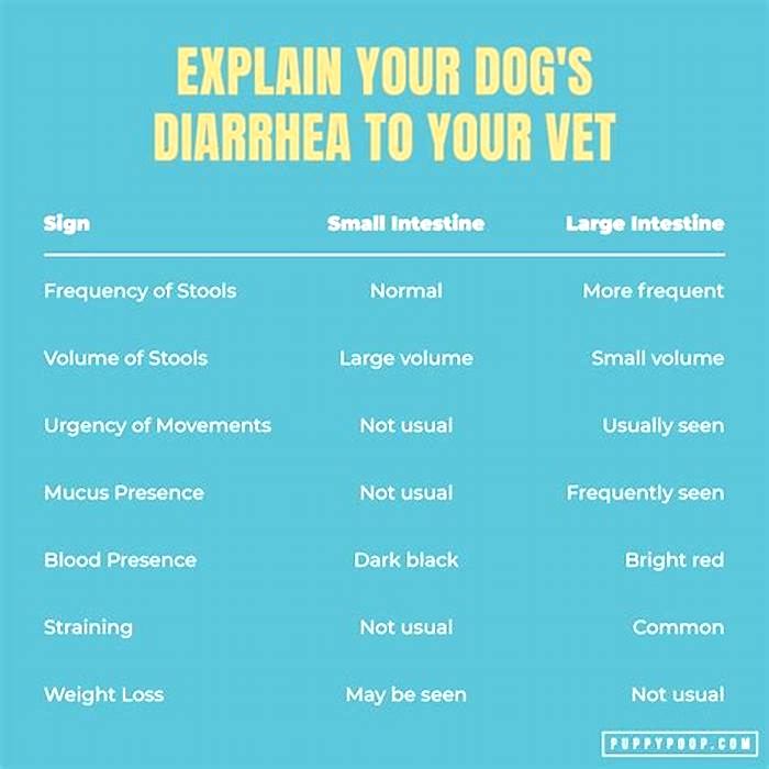 Does Blue Buffalo cause diarrhea in dogs