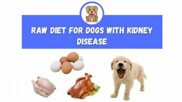 How can I reverse my dog's kidney disease naturally?