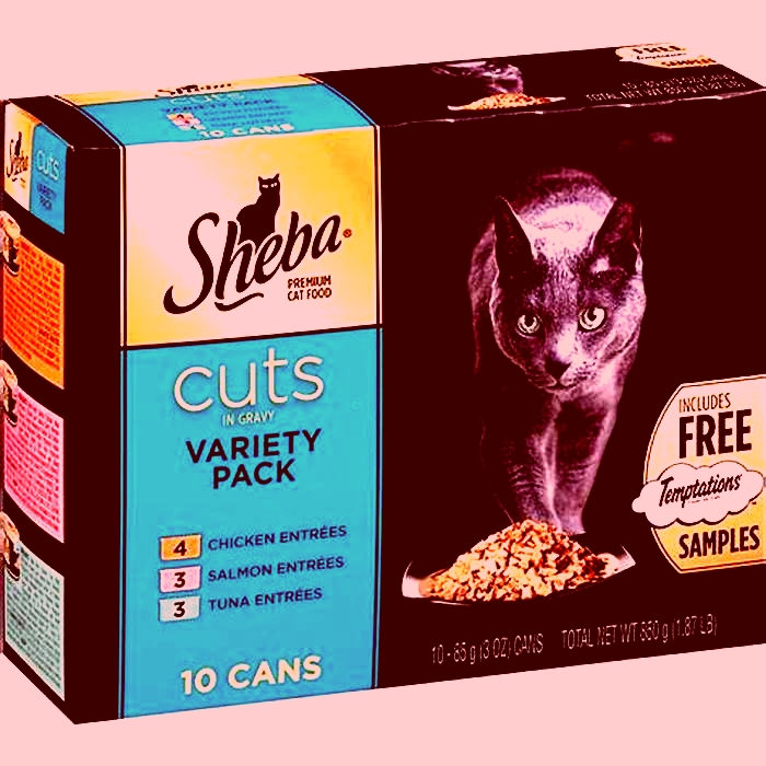 How many pouches of Sheba cat food per day?