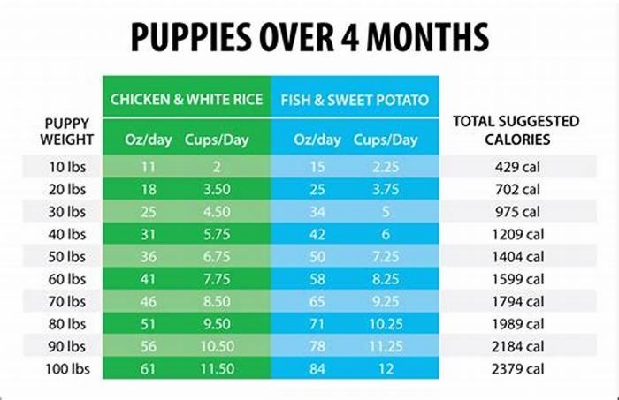 How much food for a 2kg puppy?