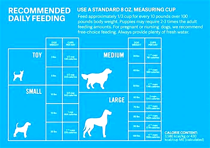 How much protein is in IAMS large breed puppy food