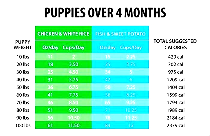 How much should I feed my large breed puppy?