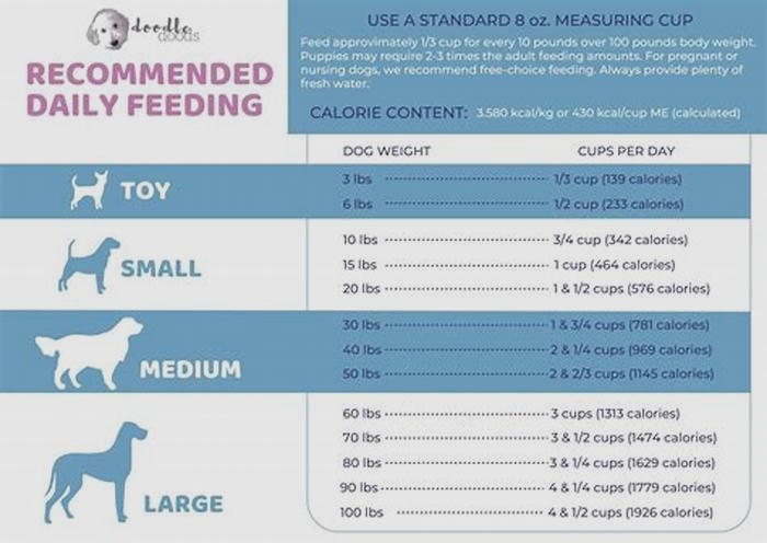 How much should a 40 kg Labrador eat