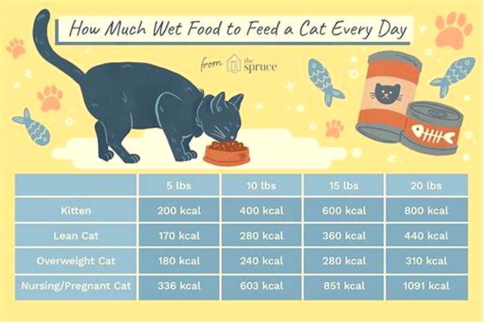 How much wet cat food should a cat eat