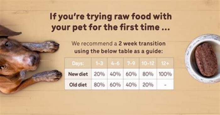 How to transition a puppy from 3 to 2 meals?