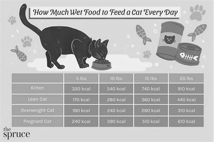 Is 2 pouches of wet food a day enough for a cat?