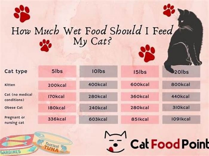 Is 3 oz wet food a day ok for cats