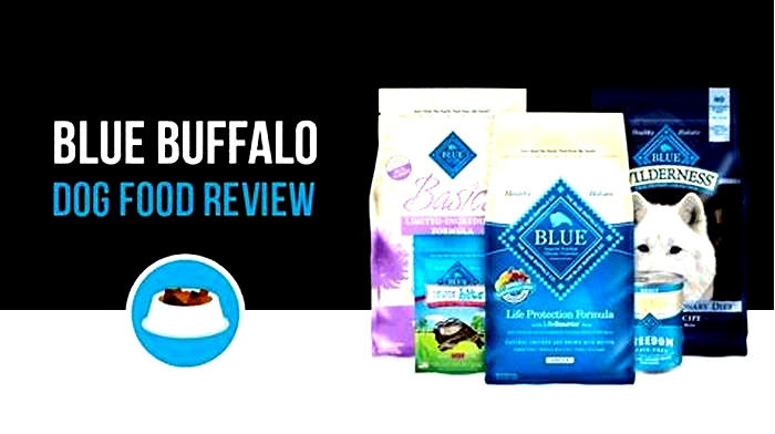 Is Blue Buffalo a bad food brand?