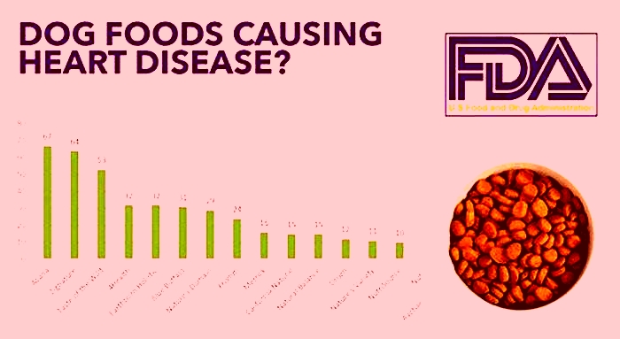 Is Fromm dog food linked to heart disease?