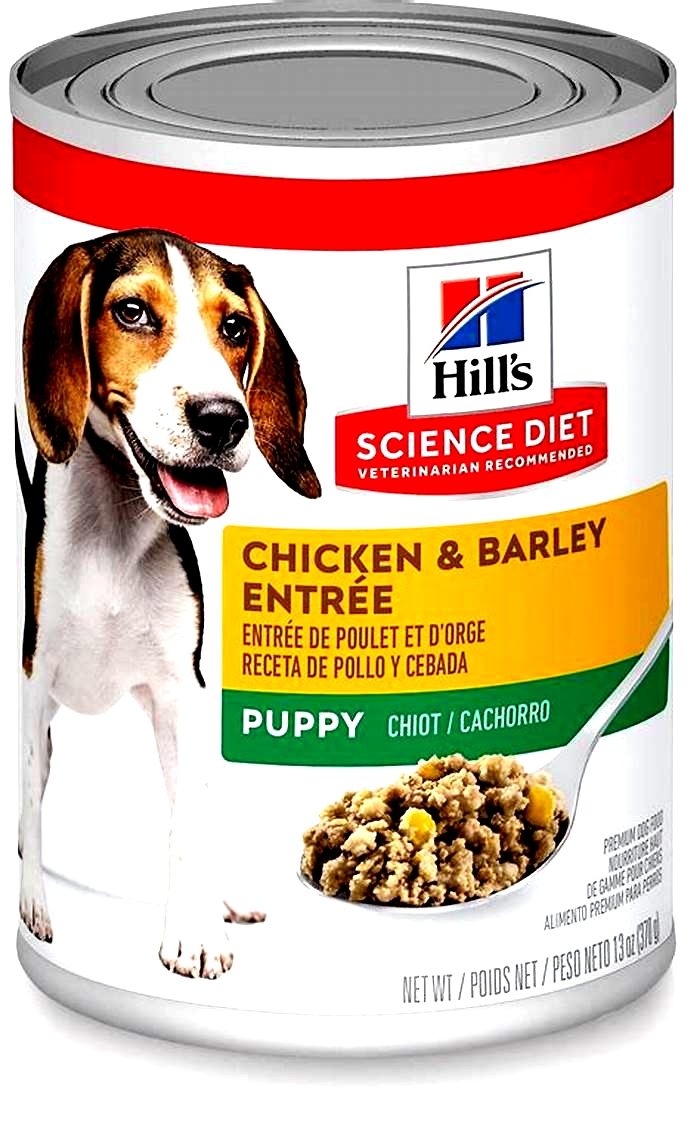 Is Hill's Science Diet good or bad for dogs?