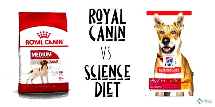 Is Hill s Science diet or Royal Canin better