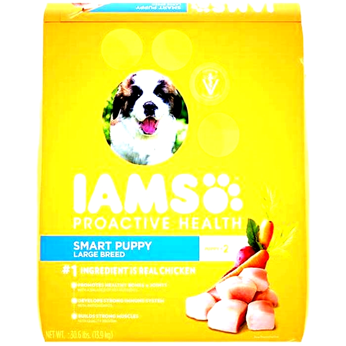 Is IAMS good puppy food