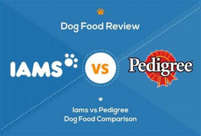 Is IAMS owned by Pedigree?