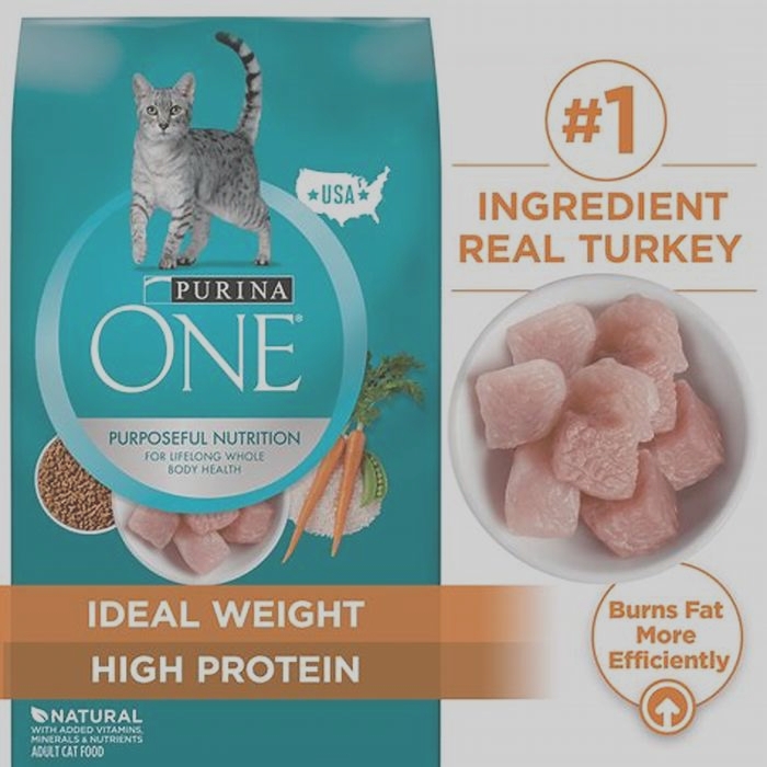 Is Purina One good for cats?