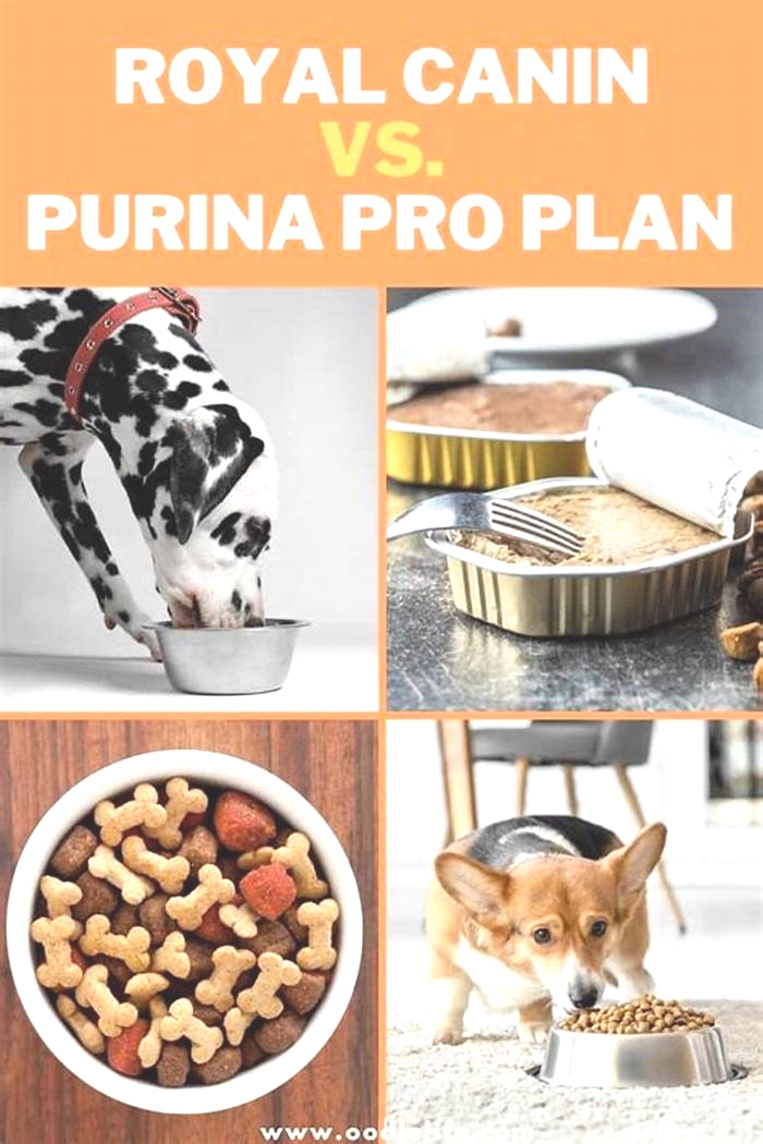 Is Purina as good as Royal Canin