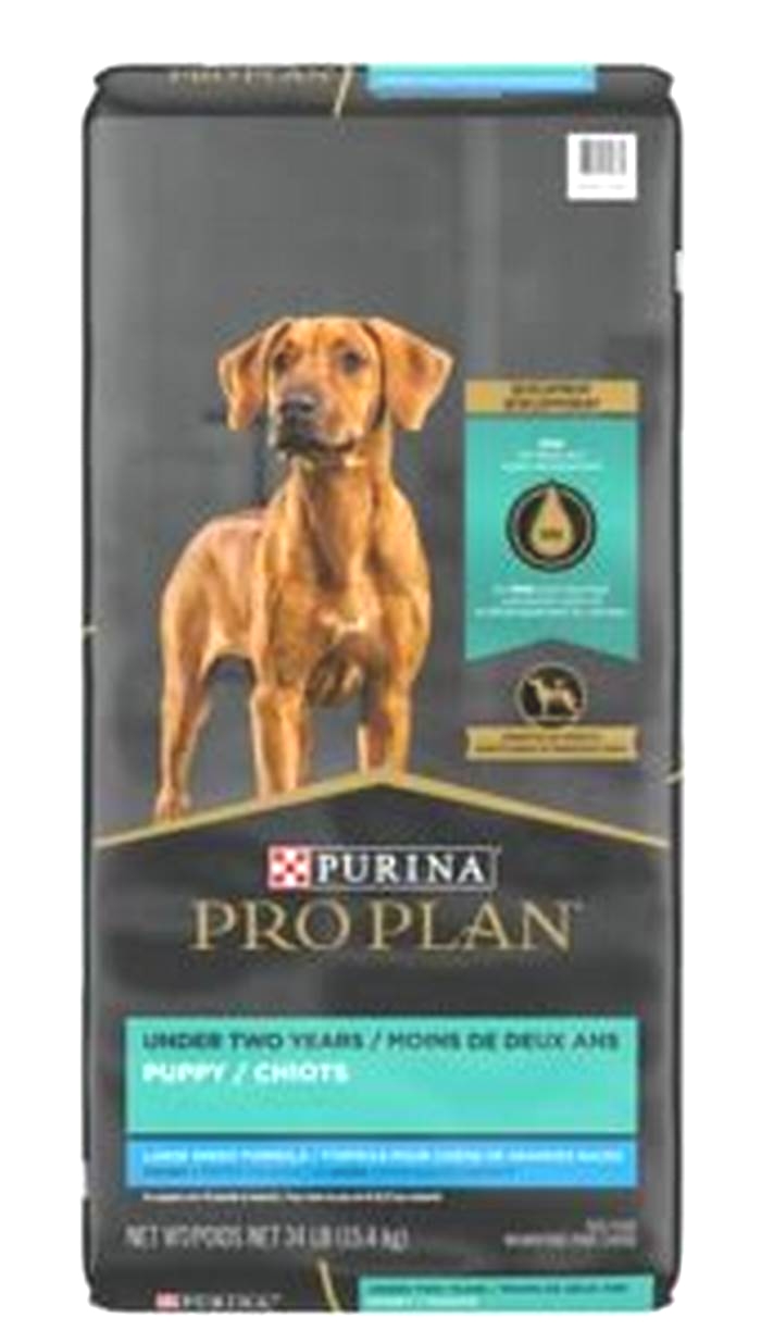 Is Purina good for labs?