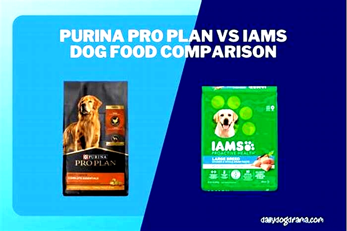 Is Purina or IAMS better?