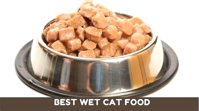 Is Purina wet food good for cats?