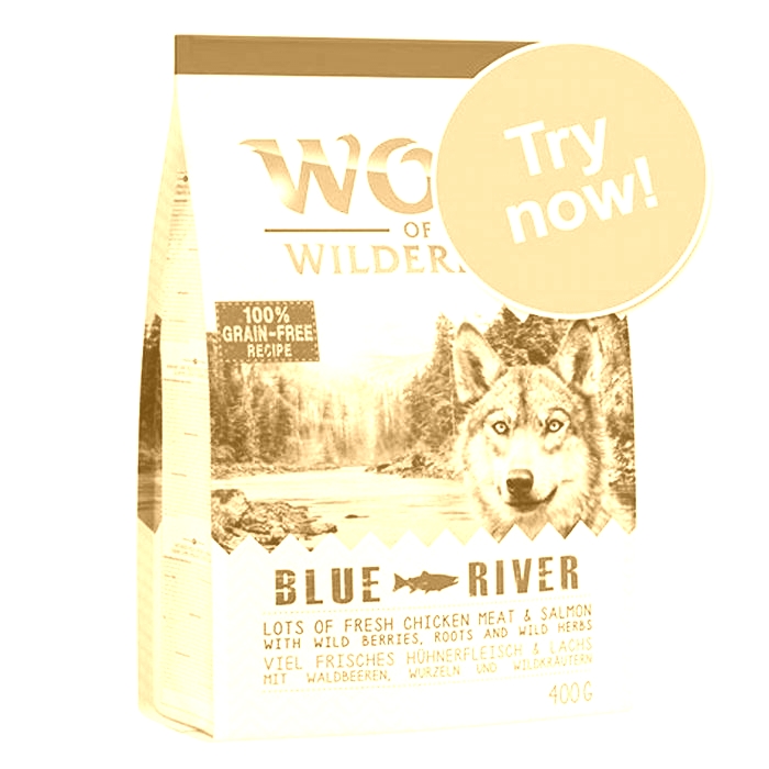 Is Wolf of Wilderness a good dog food for small dogs?