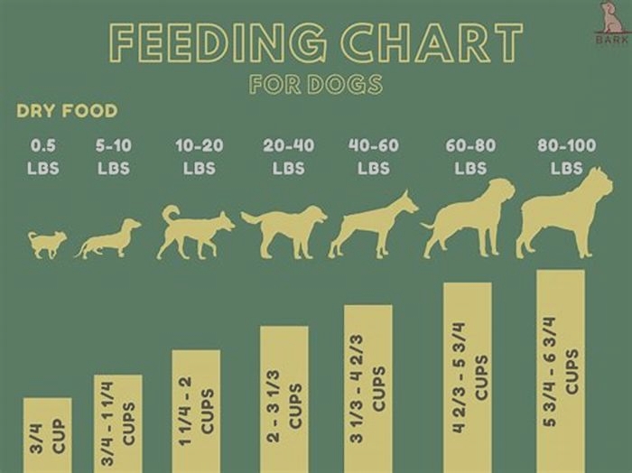 Is it OK to feed large breed dog food to a small dog