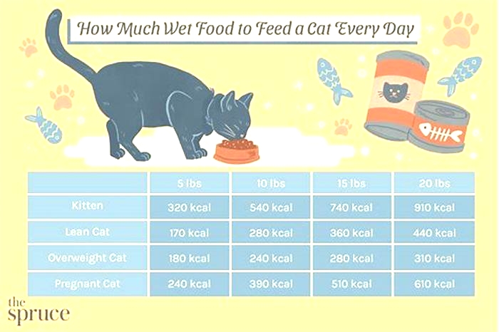 Is it OK to give cats different wet food everyday?