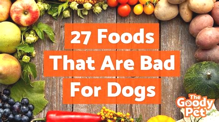 Is it bad to feed a medium dog large breed food