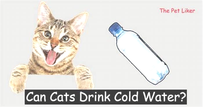 Is it better for cats to drink cold or warm water