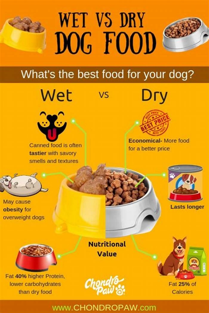 Is it better to give puppies wet or dry food?