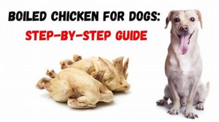 Is it okay to feed my dog boiled chicken every day?