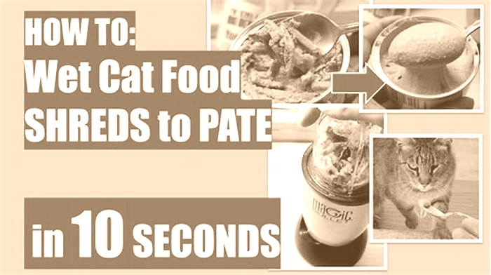 Is pate or shreds better for cats?