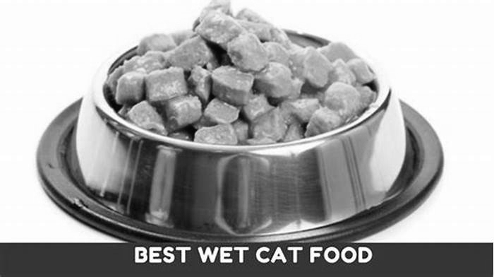 Is paté or wet food better for cats?