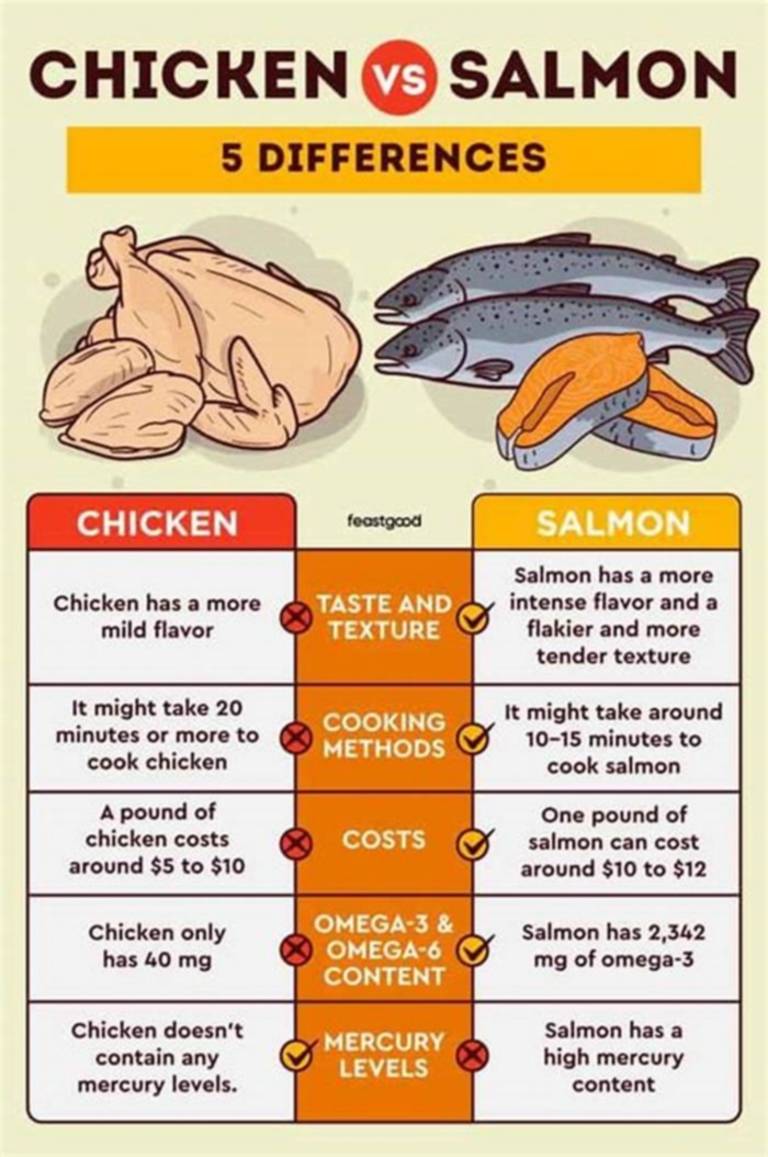 Is salmon better than chicken for dogs?