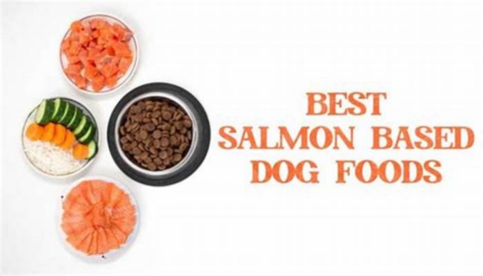 Is salmon dog food better than chicken?