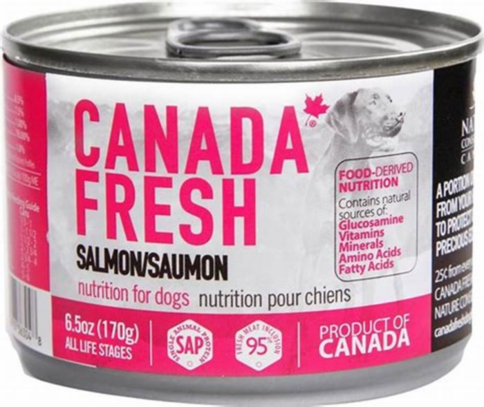 Is salmon good for dogs?