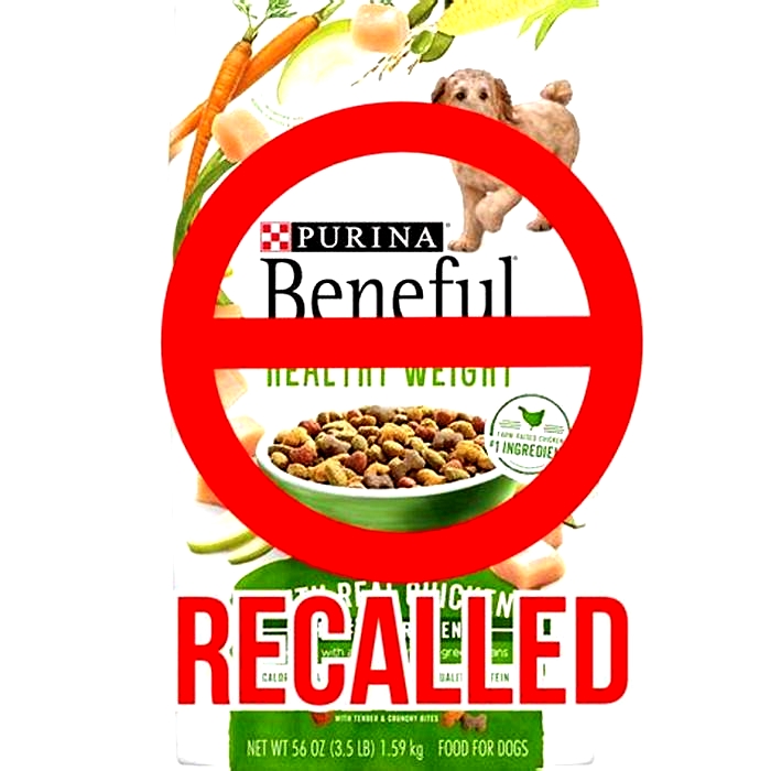 What Purina dog food is on recall right now