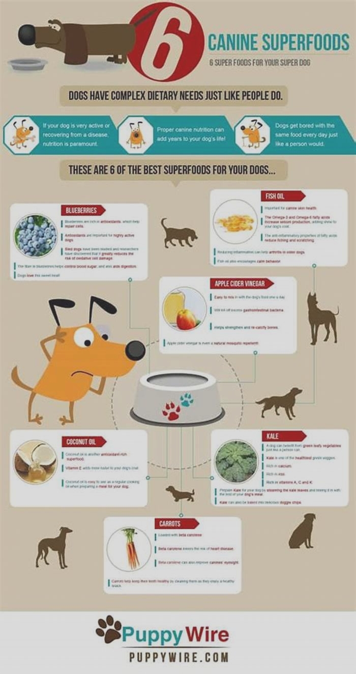 What are the 3 super foods for dogs?