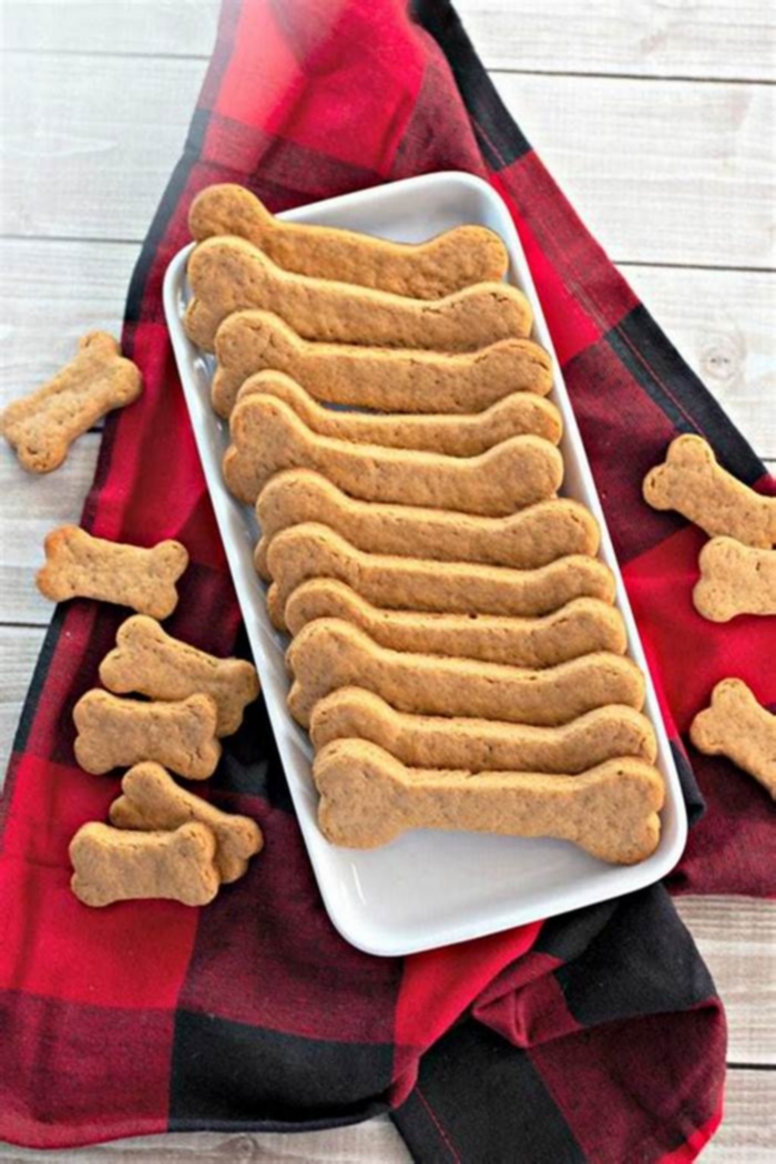 What are the best dog treats