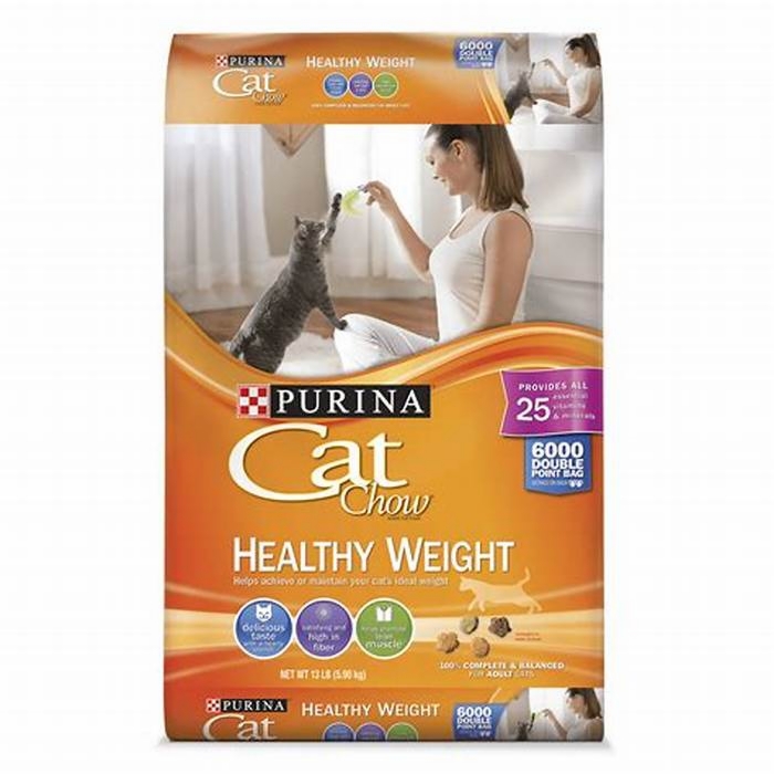 What are the healthiest brands for dry cat food?