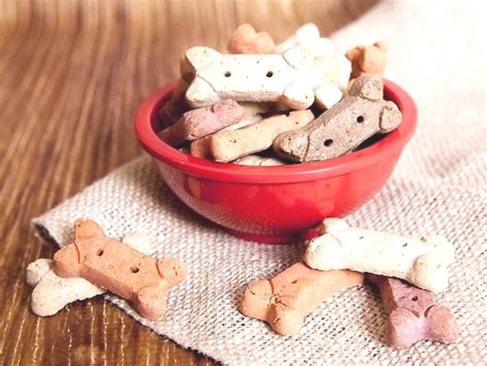 What are the healthiest dog treats?