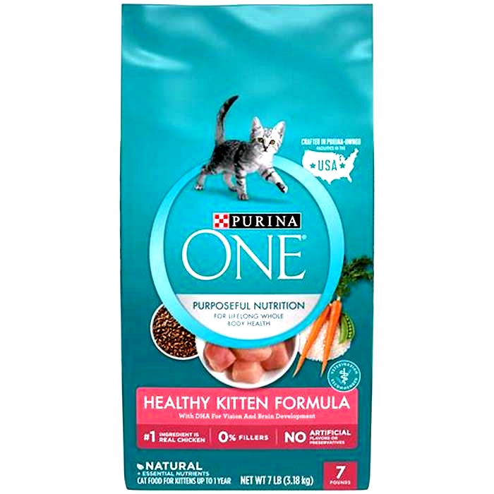 What are the healthiest dry cat food